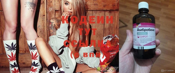 шишки Остров