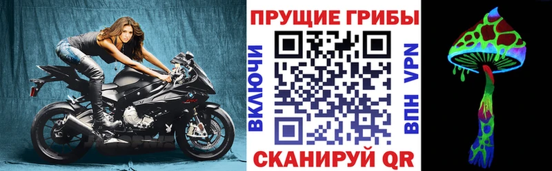 Псилоцибиновые грибы Cubensis  Нерчинск 