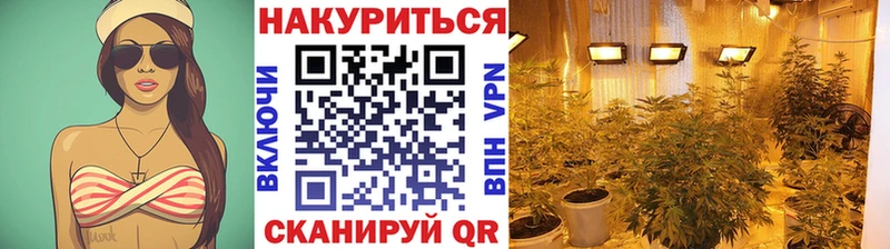 блэк спрут   Нерчинск  Шишки марихуана Amnesia  как найти  